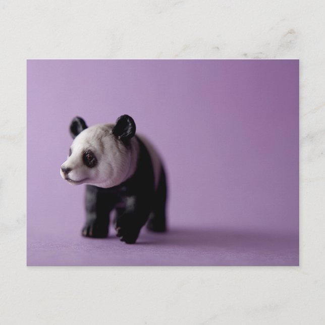 Panda Postcard Postkarte (Vorderseite)