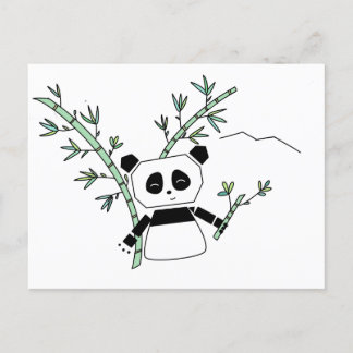 Panda Postcard Postkarte