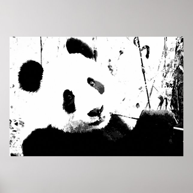 Panda Poster - Schwarz-Weiß-Panda-Gesicht (Vorne)