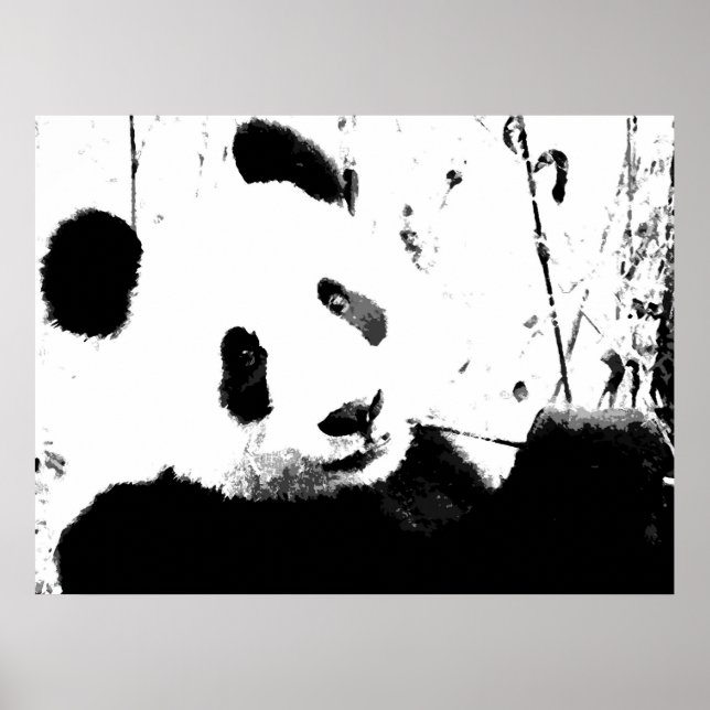 Panda Poster - Schwarz-Weiß-Panda-Gesicht (Vorne)