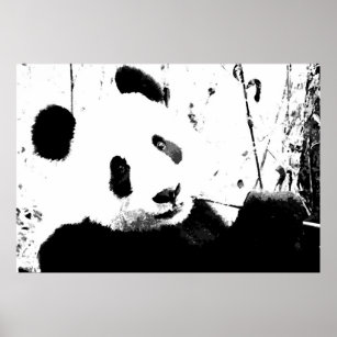 Panda Posters - Black & White Panda Face Poster