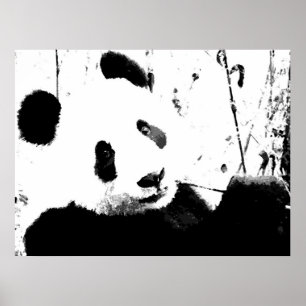 Panda Posters - Black & White Panda Face Poster