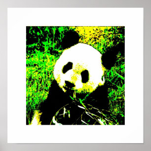 Panda Posters Prints - Panda Eating Poster