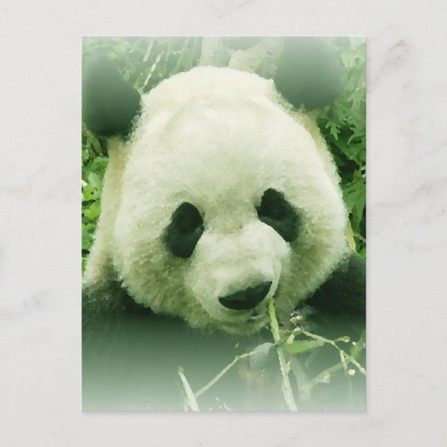 Panda Postkarte (Vorderseite)