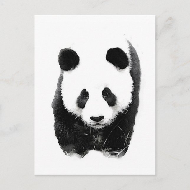 Panda Postkarte (Vorderseite)