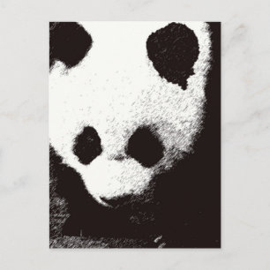 Panda Postkarte