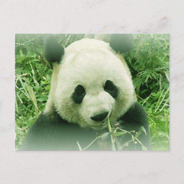 Panda Postkarte (Vorderseite)