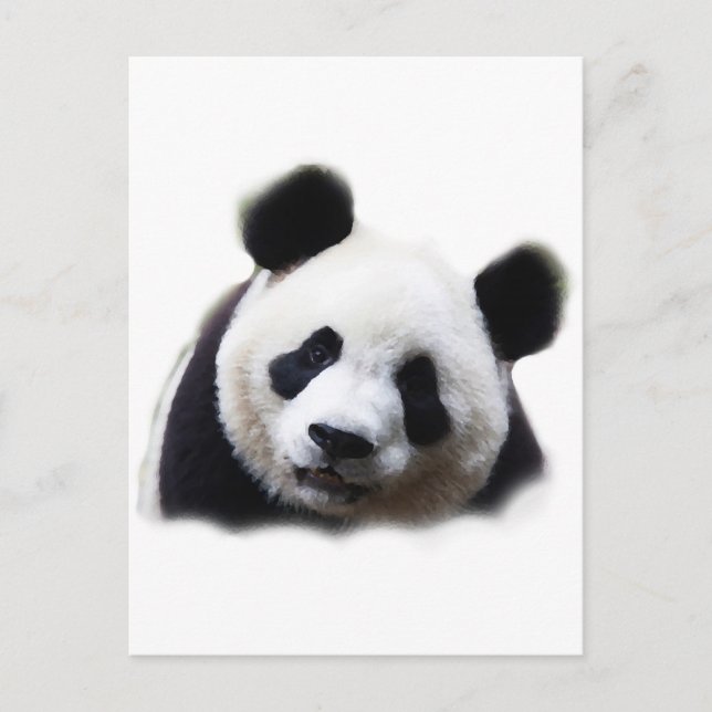 Panda Postkarte (Vorderseite)