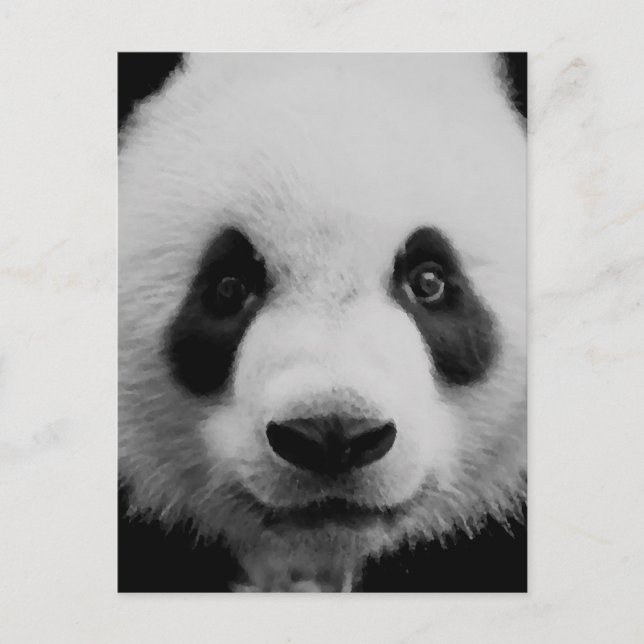 Panda Postkarte (Vorderseite)