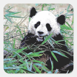Panda Quadratischer Aufkleber