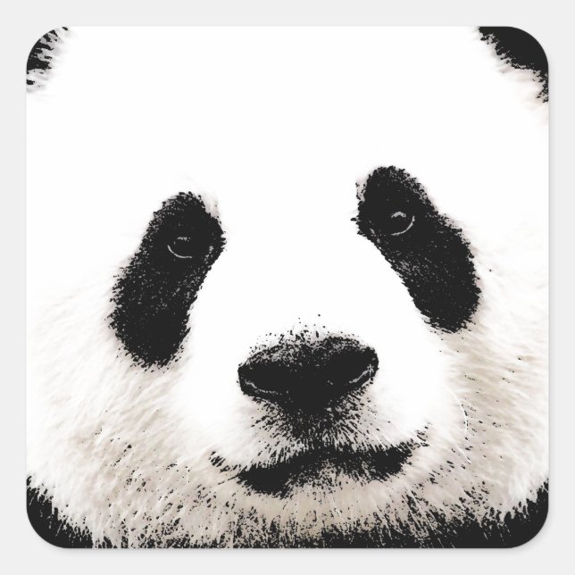 Panda Quadratischer Aufkleber (Vorderseite)