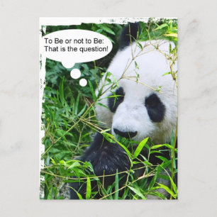 Panda Quote Animal Template Trendy Modern Postkarte