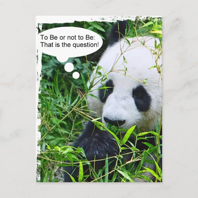 Panda Quote Animal Template Trendy Modern Postkarte (Vorderseite)