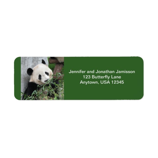 Panda-Rücksendeadressen-Aufkleber, grün (Vorne)