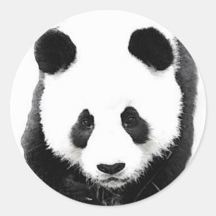 Panda Runder Aufkleber
