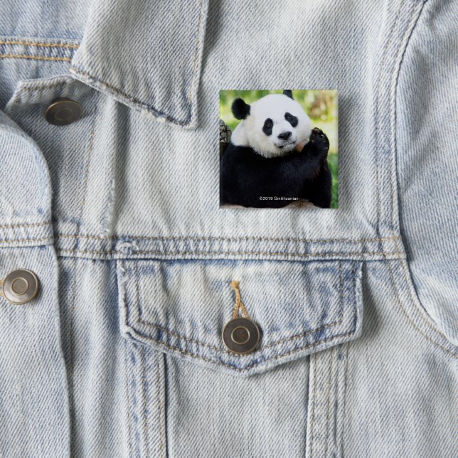 Panda-Sitzen Button (Beispiel)