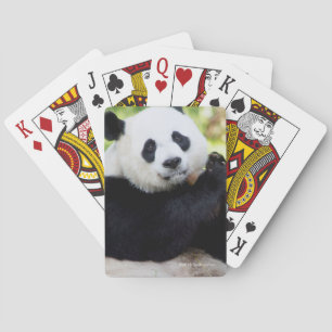 Panda-Sitzen Spielkarten