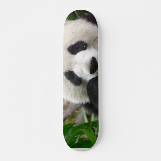 Panda-Skateboard Skateboard (Vorne)