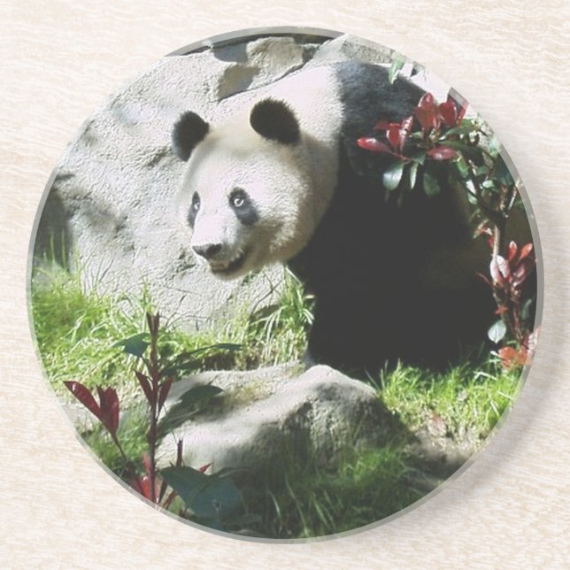 Panda Smile Getränkeuntersetzer (Vorne)
