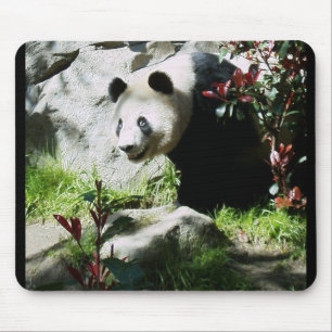 Panda Smile Mousepad
