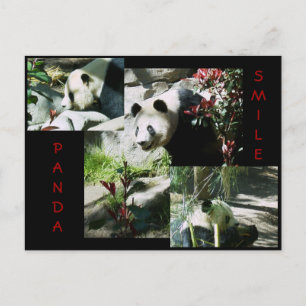 PANDA SMILE POSTKARTE