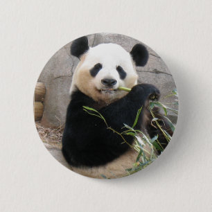 Panda Snack Button