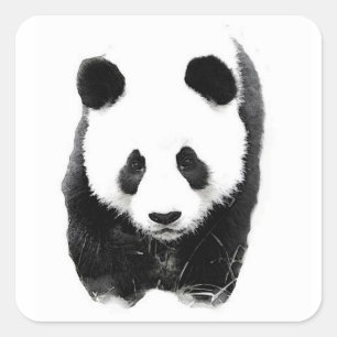 Panda Square Sticker