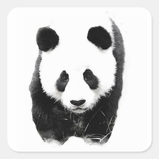 Panda Square Sticker (Vorderseite)