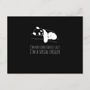 Panda Sweet Funny Funny Koala Animals Postkarte