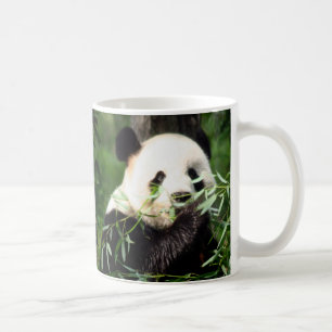 Panda-Tasse Tasse