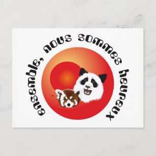 Panda Treffen Postkarte