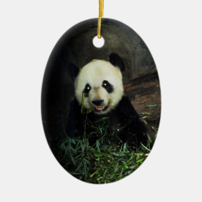 Panda-Verzierung ~ Arten-Reihe Keramik Ornament (Vorne)
