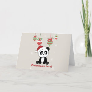 Panda Weihnachten Schnee Winter Tiere Pandas Feier