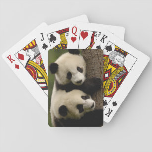 Pandababys (Ailuropoda melanoleuca) 2 Spielkarten