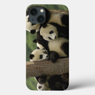 Pandababys Ailuropoda melanoleuca) 4 iPhone 13 Hülle