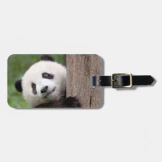 Pandajungsmalerei Gepäckanhänger