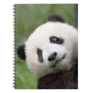 Pandajungsmalerei Notizblock