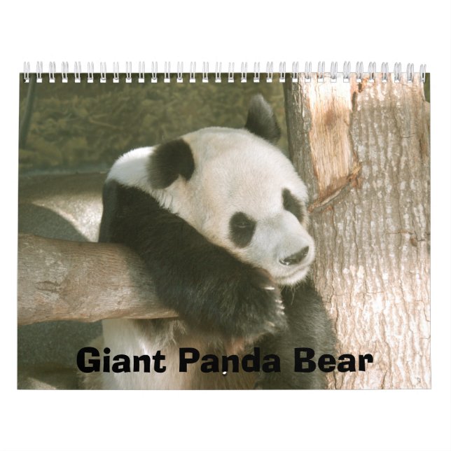 PandaM016, Panda-Bär Kalender (Titelbild)