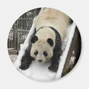 Pandamagnet Magnet