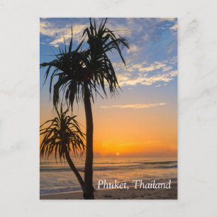 Pandanus-Baum bei Sonnenuntergang, Laypang Beach,  Postkarte