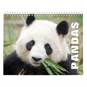 Pandas-2022-Mauerkalender Kalender