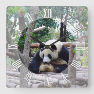 Panda's Advice "Always time for a break" / Panda Quadratische Wanduhr