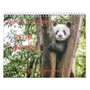 Pandas der China, 2019 Wandkalender