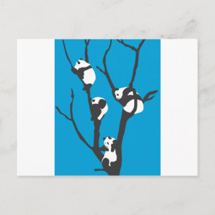 Pandas Hangin' Out Postkarte
