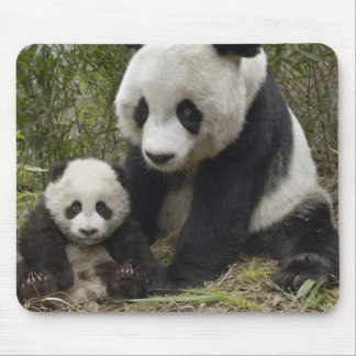 Pandas Mousepad