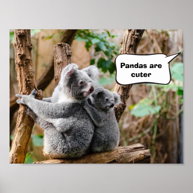 Pandas oder Koalas - Was sind niedlicher? Poster (Vorne)