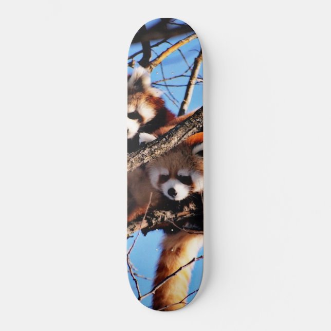 Pandas Skateboard (Vorderseite)