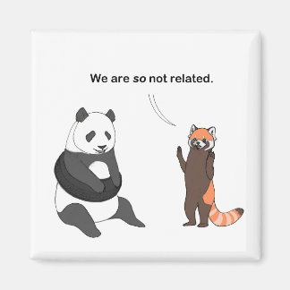 Pandas: So nicht verwandtes Magnet
