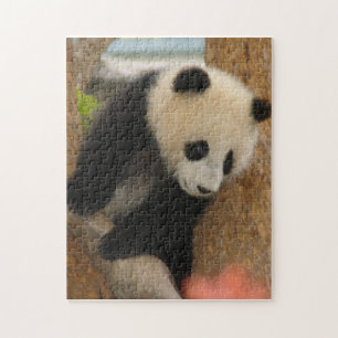 PandaSD009 Puzzle