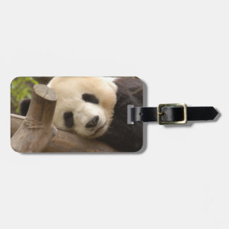 PandaSD010 Gepäckanhänger